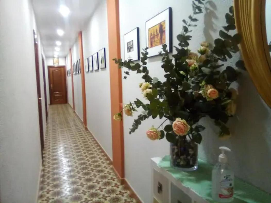 Las Golondrinas Habitacion En Piso Centrico Para Una O Dos Personas Zaragoza Exteriér fotografie